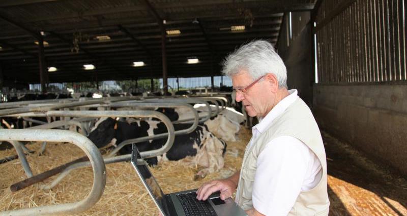 An image of a man using a laptop within a cattle shed. In the background you can see hay bales and cows.