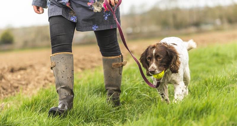 NFU Countryside Code campaign reaches more than half a million people