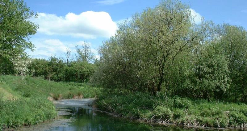 Watercourse on farmland