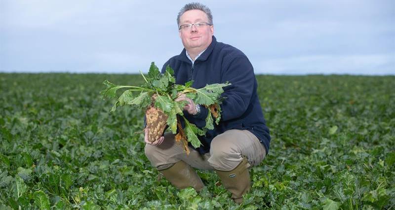 NFU Sugar chair Michael Sly in a field holding sugar beet
