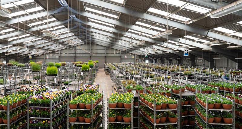 Plant nursery