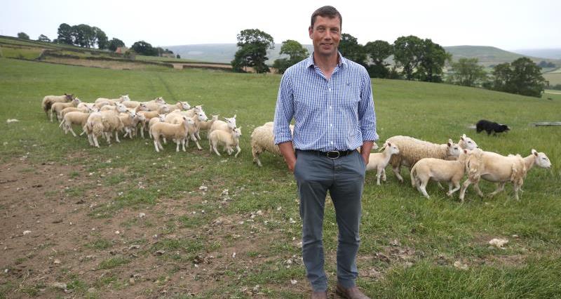 Richard Findlay on farm July 2018_55365