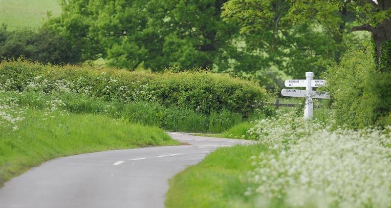 Rural road with a signpost