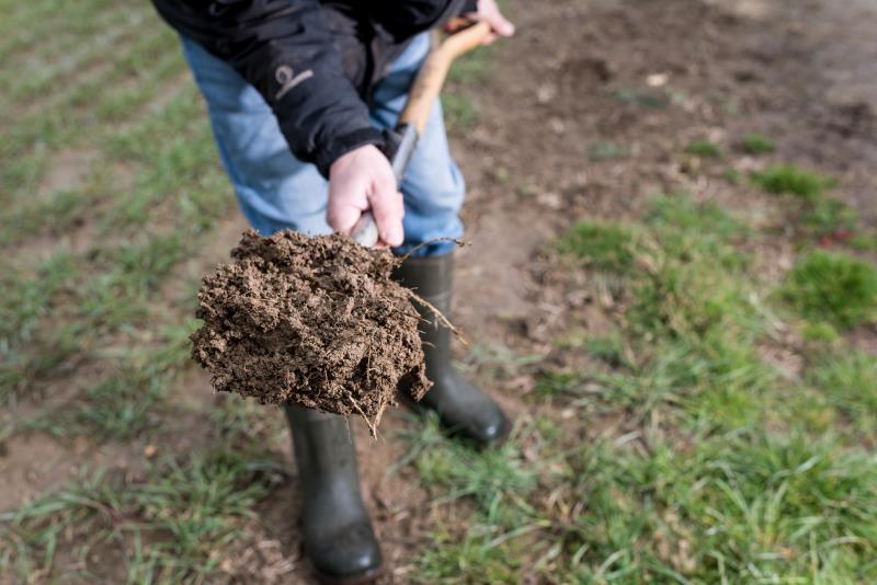 Know Your Soil – CFE Online