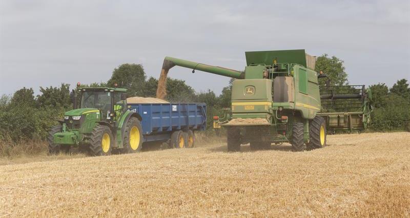 An image showing wheat being harvested from a field