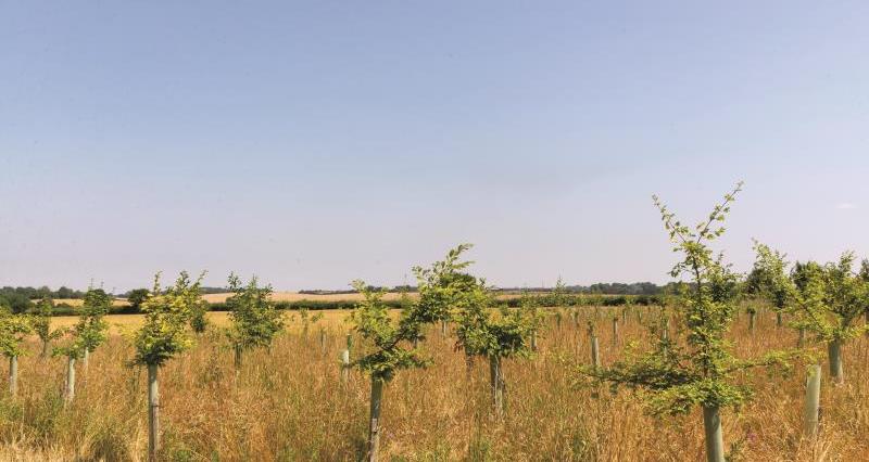 Defra publishes guidance for capital grants 2026