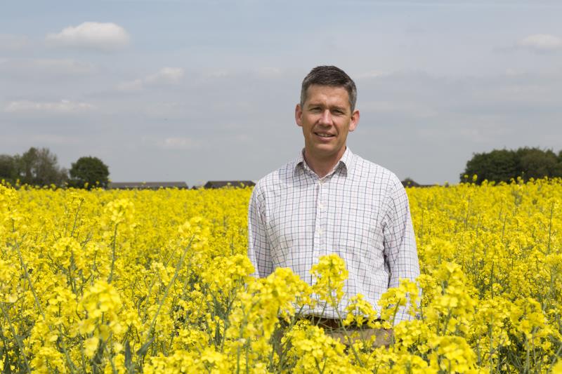 Tinder of Bees” connects farmers with beekeepers - Future Farming