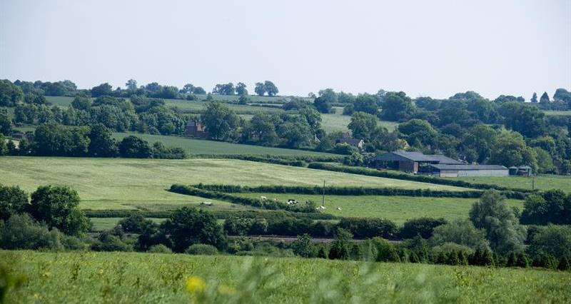 A farming landscape of fields and sheds