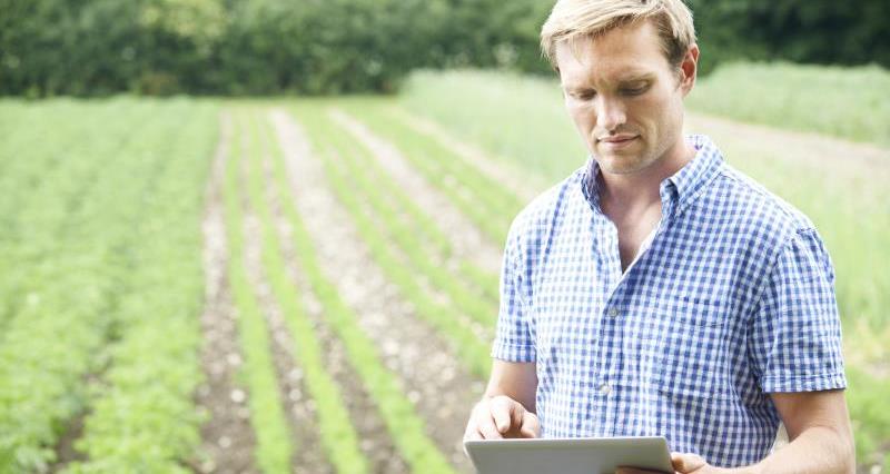 Farmer on farm using tablet_28362