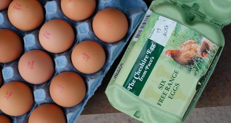 An image of free range eggs