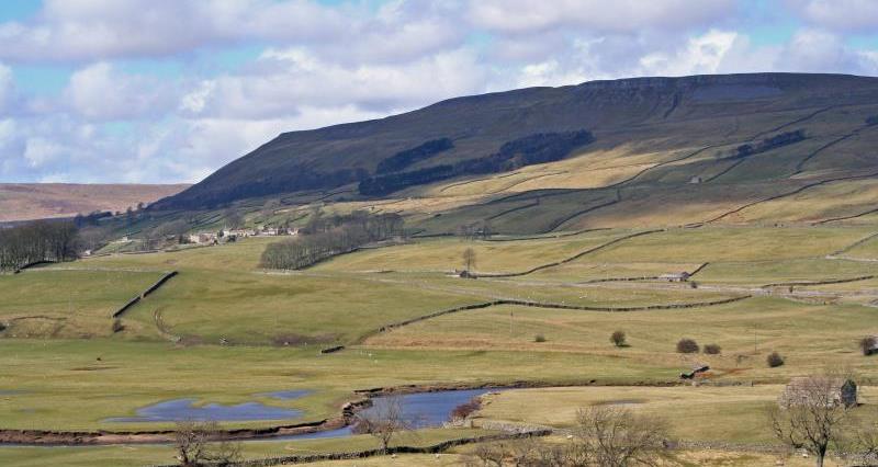 A picture of farming landscape in Wensleydale