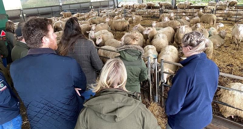 A group of students being given a tour of a livestock farm
