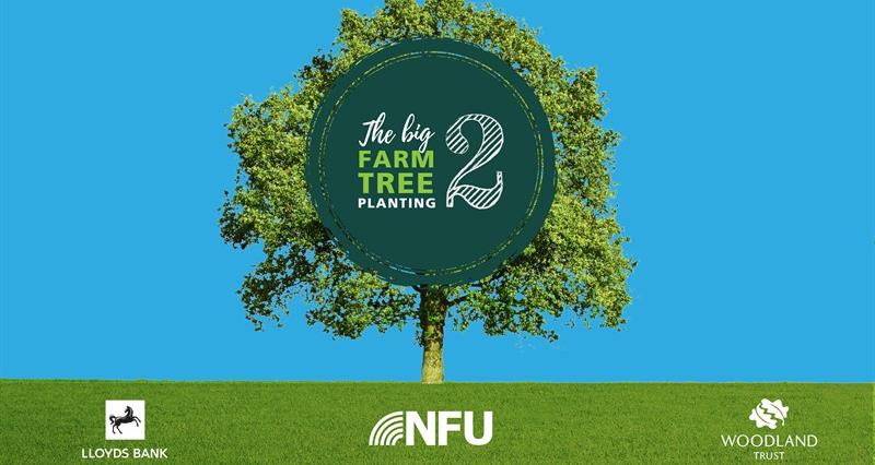 A graphic promoting the Big Farm Tree Planting featuring a large free in the centre, the name of the initiative and logos of supporting organisations