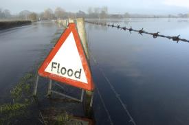 A flood sign in flooded field_21830