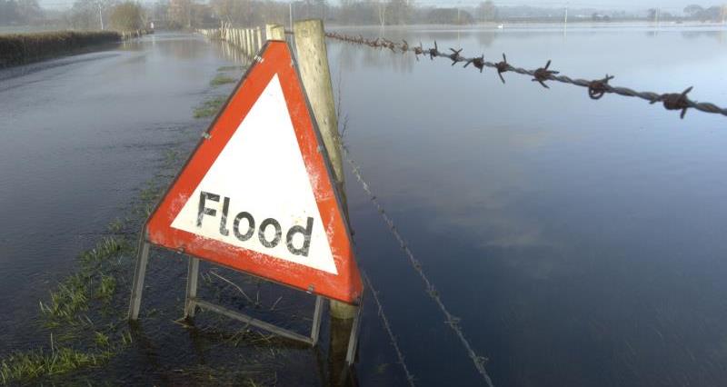 A flood sign in flooded field_21830