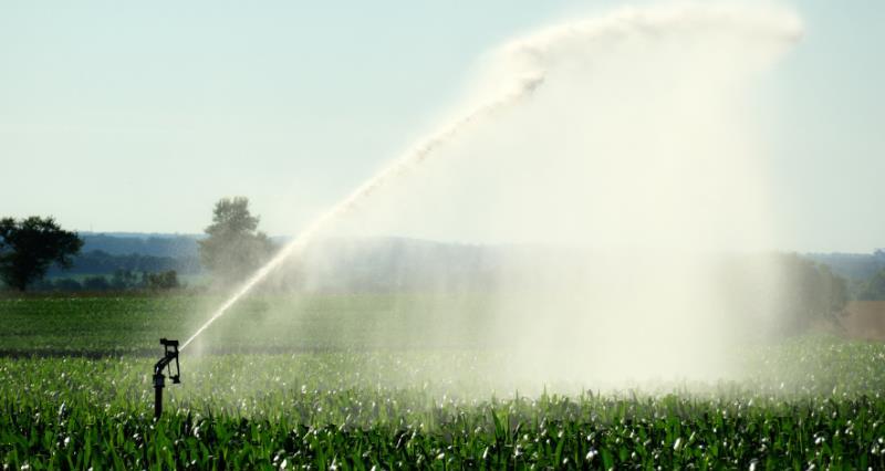 A field being irrigated_21829