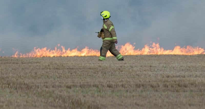 Firefighter walking along row of flames in an arable field