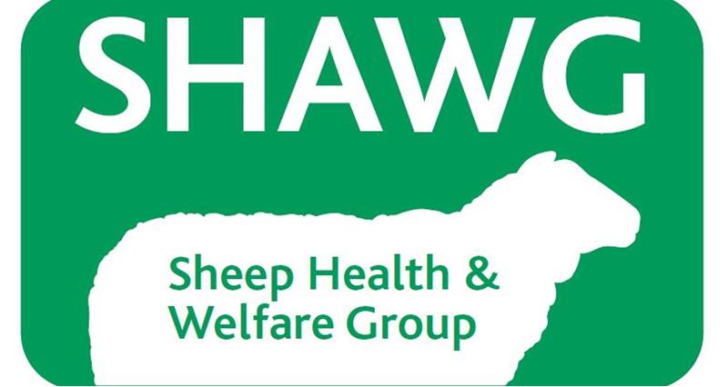 SHAWG logo_38219