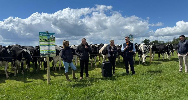 Delegates at the organic dairy conference during a farm walk