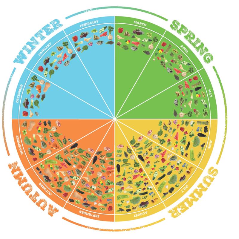 British Seasonal Food Chart A Visual Reference Of Charts Chart Master