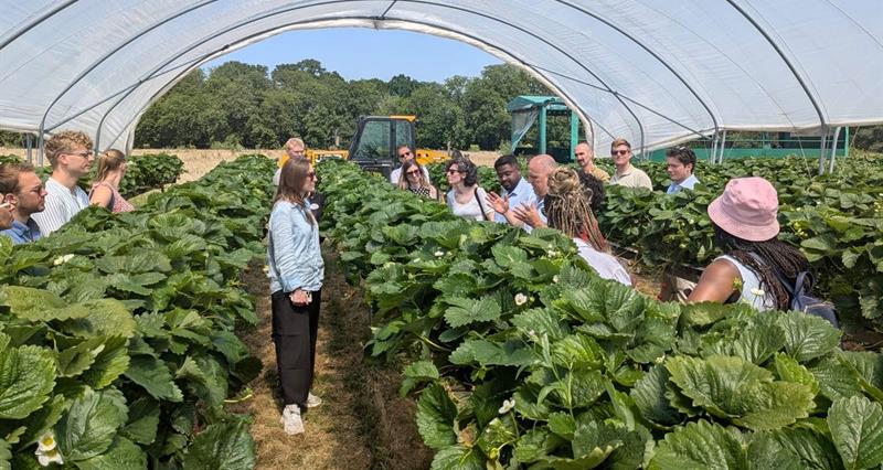 Agri-food attachés on a farm tour
