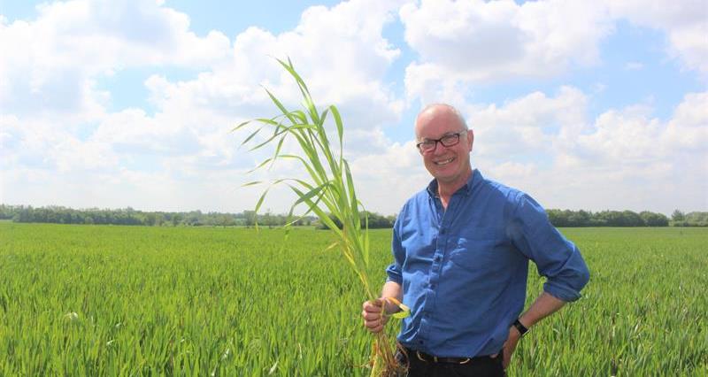 John Pawsey, chair of the NFU's Organic Forum holding his crop