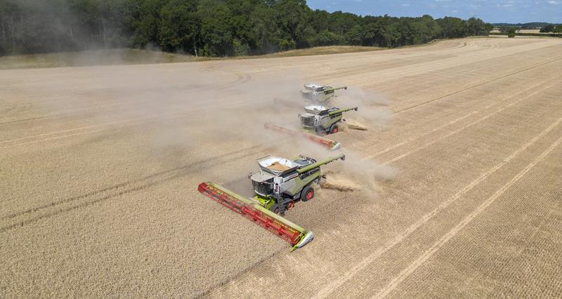Three combines harvesting crops in a field