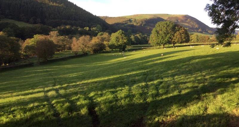 Candidates hosted on Carmarthenshire farm ahead of Senedd Election