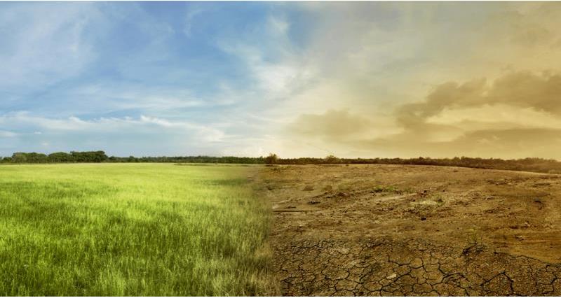 An image of a green field changing into dry earth, depicting the impact of the climate