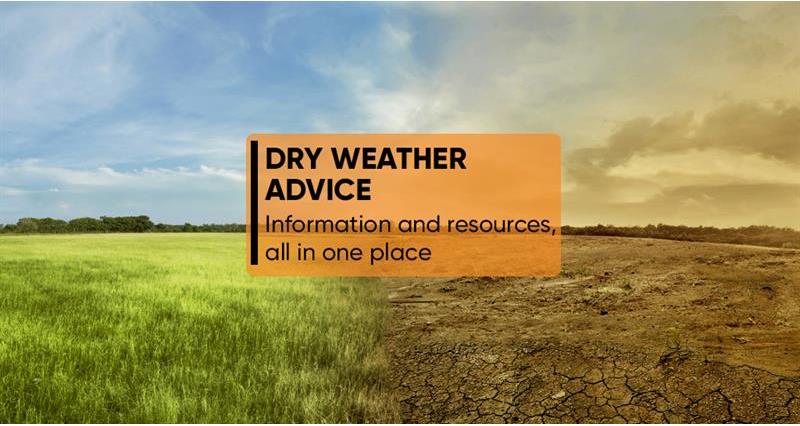 Dry weather advice hub_73705