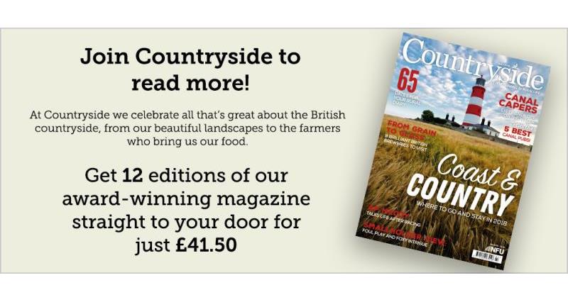 Countryside advert for web - July 2018_54529