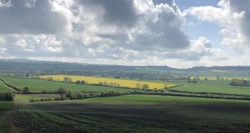 Farm fields in Warwickshire