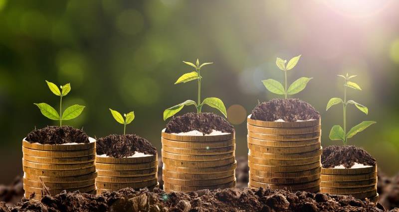 Growing money