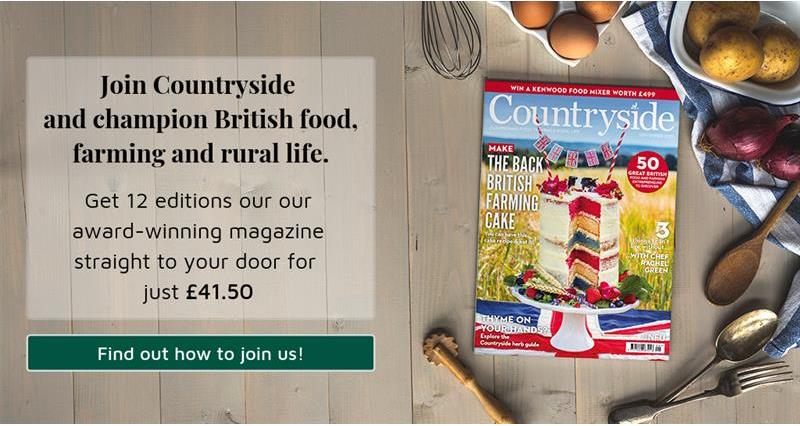 Countryside advert - champion British food, farming and rural life_68043