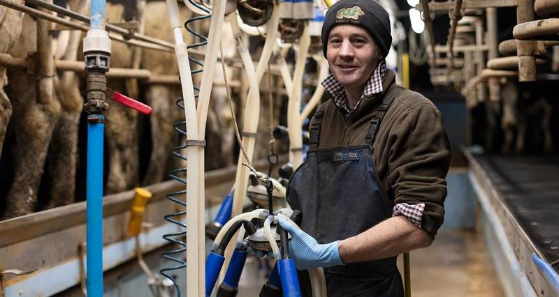 Pete Ledbury milking his dairy herd at North Cotswolds Dairy_71740