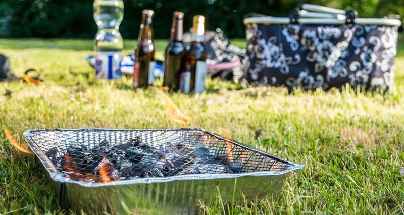 Disposable BBQ in the countryside