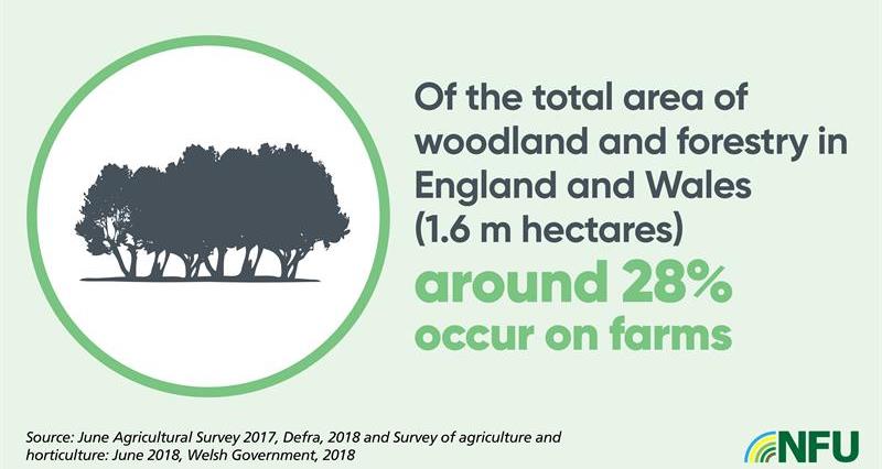 NFU Landscape and Access infographic_75197