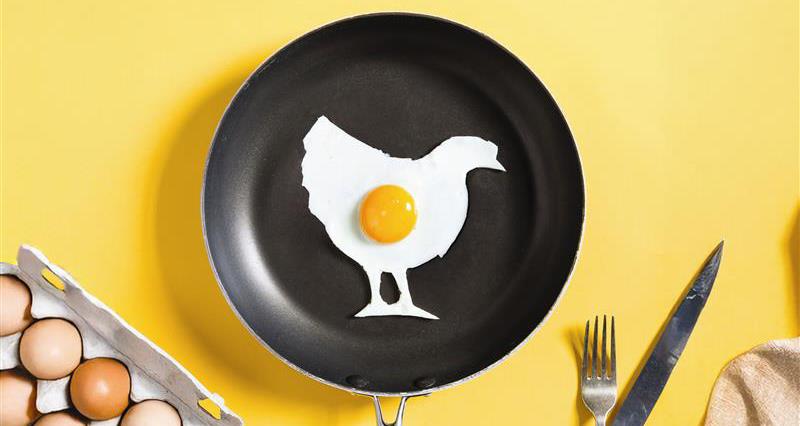 A chicken-shaped fried egg in a pan, and an opened box of eggs