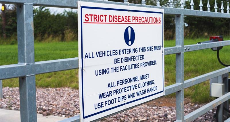 Biosecurity signage on a poultry farm gate