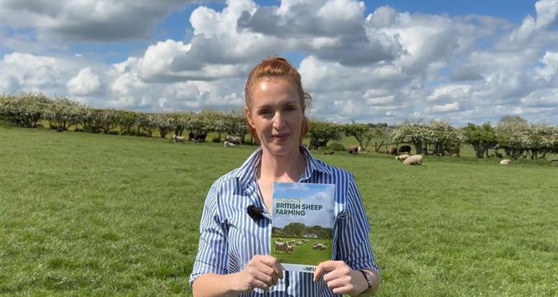 NFU unveils vision for a resilient and thriving UK sheep sector