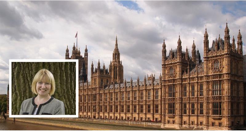 Gail Soutar on Parliament background_71903