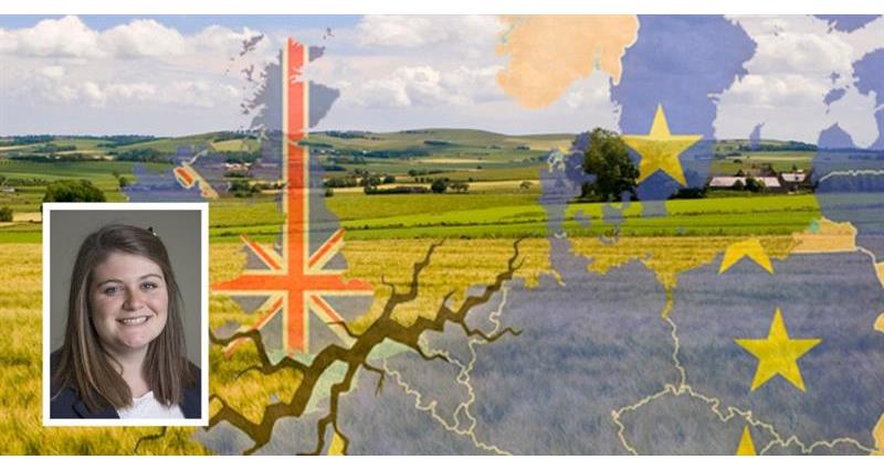 Tori UK EU Flag on fields composite_59405