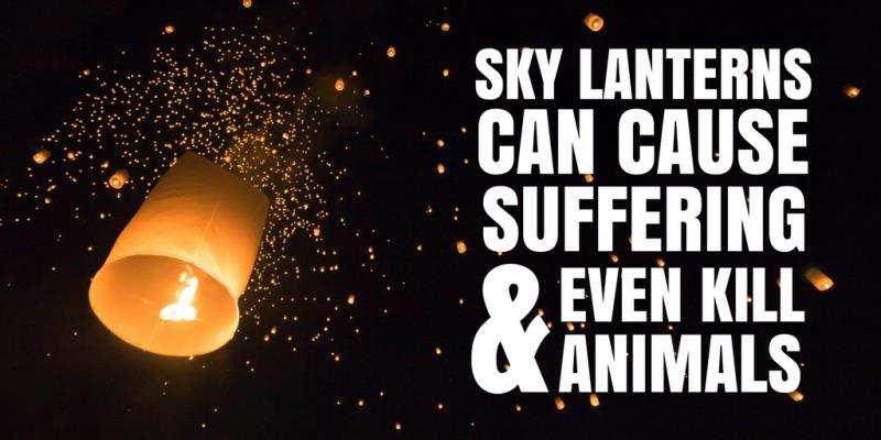 Sky Lanterns_54668