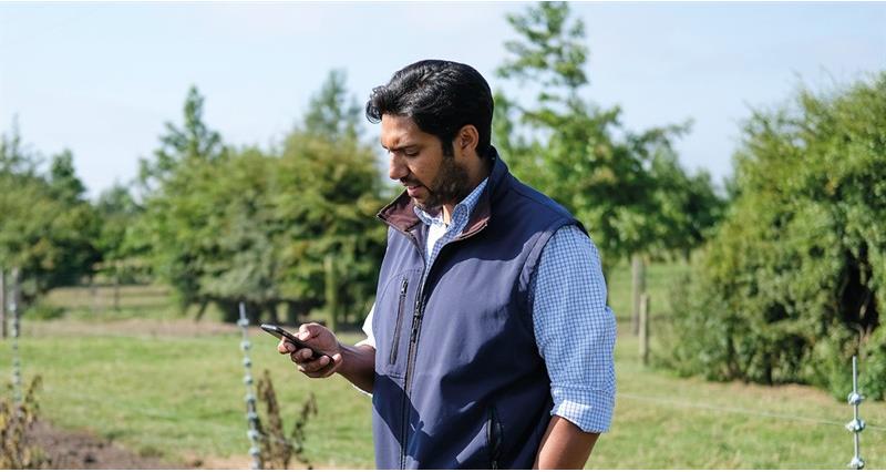 A man in a field looking at a mobile phone