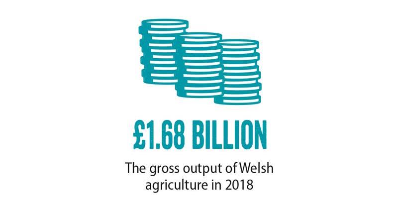 NFU Cymru ,General Election, economy_70675