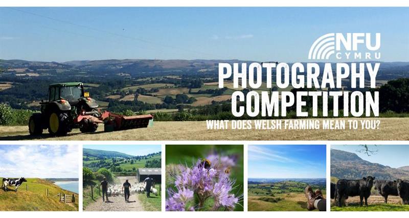 Photography competition_66766