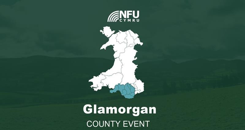 Glamorgan county on map of Wales