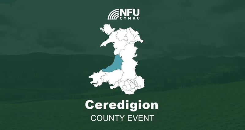 Ceredigion County Event