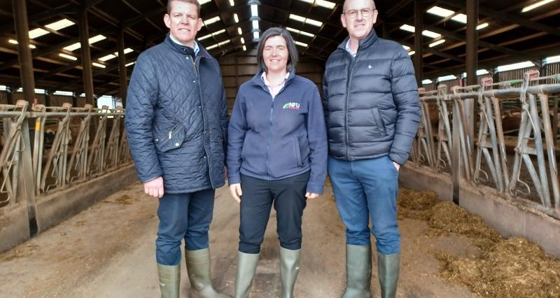 Rhun Ap Iorwerth MS and Llyr Gruffydd MS on farm with Abi Reader