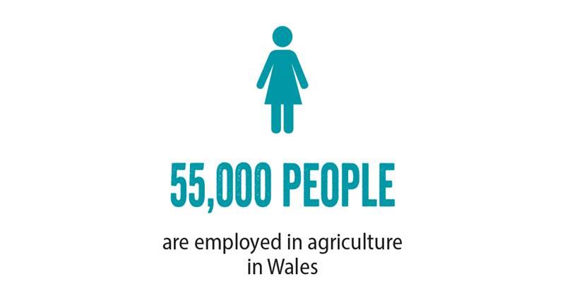 NFU Cymru ,General Election, employment_70673